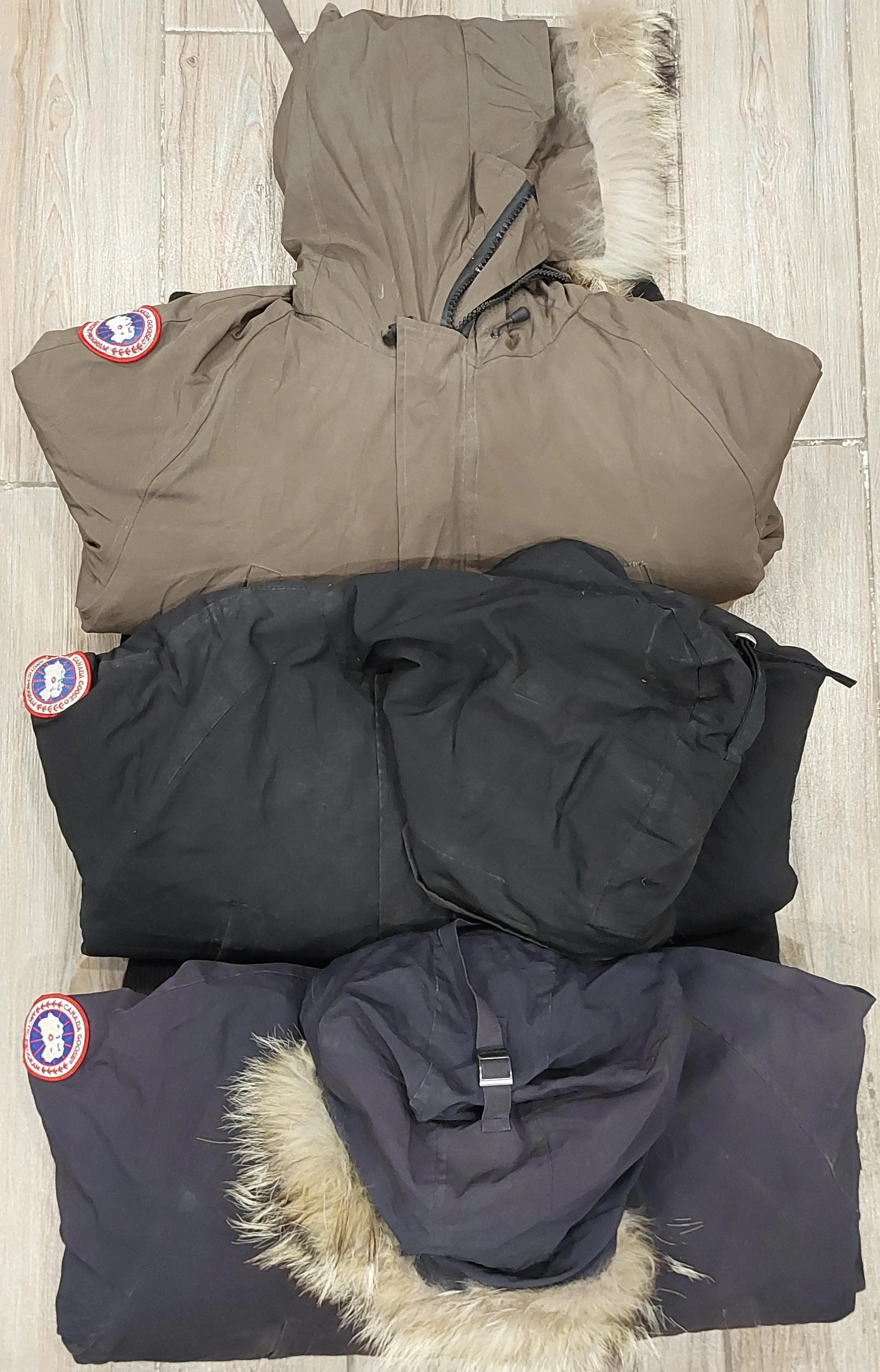 Branded Canada Goose Jackets - 5 Pieces